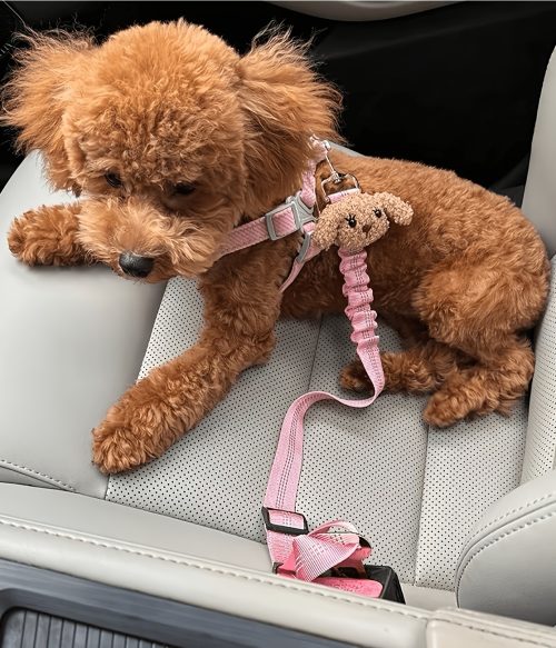 1pc 1pcs Retractable Dog & Cat Car Leash Belt - Reflective Safety Tether with Elastic Webbing, Suitable for Pets, Hand Washable Suitable for Dogs and Cats, Vehicle Restraint System, Leash for Car Travel, Tether for Moving Vehicles