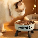 Personalized Pet Bowl with Custom Name, Non-Slip And Spill-Proof Stainless Steel Interior, Easy to Clean, Suitable for Dogs And Cats, in Pink And Mint Green, a Great Gift for Pet Lovers