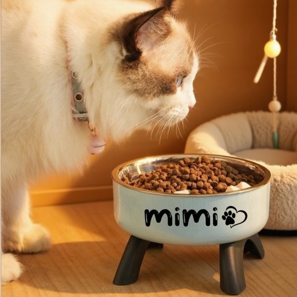 Personalized Pet Bowl with Custom Name, Non-Slip And Spill-Proof Stainless Steel Interior, Easy to Clean, Suitable for Dogs And Cats, in Pink And Mint Green, a Great Gift for Pet Lovers