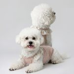 Lightweight Soft Breathable Yarn Dog Dress for Teddy Bichon Small Dogs, Sweet Cute Spring Summer Pet Clothes