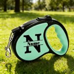 1pc Retractable Dog Leash - Customizable Name with Self-Defined Letter Design - Ergonomic Handle - 196.85inch Anti-Tangle Dog Leash - Made of Durable PP Material and Strong Nylon Strap, Available in Six Colors - Suitable for Small Dogs - A New Year's