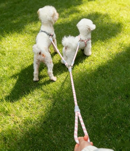 1pc Reflective Dual-dog Leash, 360-degree Swivel, Tangle-free Dual-dog Leash, Comfortable Multi-purpose Pet Leash, Stylish Design | Durable Dog Leash, Suitable for Two Dogs
