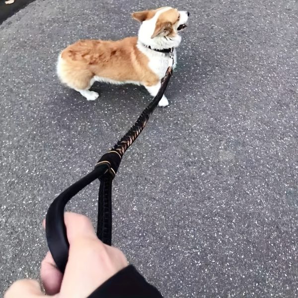 Easter Dog Training Leash for Small to Large Breeds, Eight-Strand Cowhide Braided Lead, Strong Anti-Pull Dog Chain, Pet Supplies