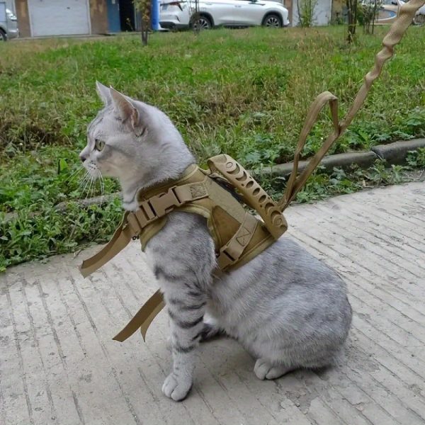 600D Cat Tactical Vest Pet Chest Strap Vest Type Puppy Cat Training Clothing Small Dog Vest