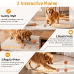 Large-sized pet toy ball, dog ball, smart toy for medium and large dogs, automatically moves, rotates, and bounces, E-TPU material, exercise dog toy, keeps them busy