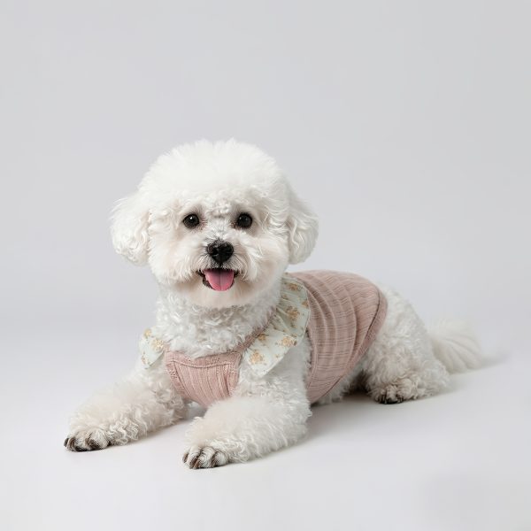 Lightweight Soft Breathable Yarn Dog Dress for Teddy Bichon Small Dogs, Sweet Cute Spring Summer Pet Clothes