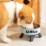 Personalized Pet Bowl with Custom Name, Non-Slip And Spill-Proof Stainless Steel Interior, Easy to Clean, Suitable for Dogs And Cats, in Pink And Mint Green, a Great Gift for Pet Lovers
