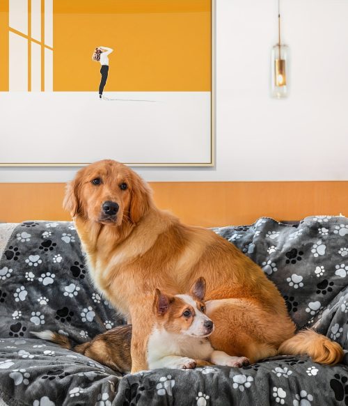 High Quality Pet Blanket for Dogs & Cats - Super Soft Warm Fluffy Bedspread, Urine-Proof Washable Large Dog Bed Protector with Cute Puppy & Kitten Patterns, All Breed Sizes (Pomeranian, German Shepherd, Poodle) - u002FOutdoor Use