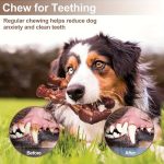 Ultra Bite-Resistant Joint Dog Chew Toy - Realistic Beef Flavor Durable Rubber Chew Stick, Suitable for Medium to Large Dogs, Safe Teething Training Gift, Beneficial for Gum Health, Ideal for Chewing Dogs, Dog Chew Toys, Durable Dog Chew Toys