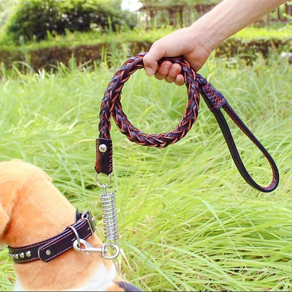Easter Dog Training Leash for Small to Large Breeds, Eight-Strand Cowhide Braided Lead, Strong Anti-Pull Dog Chain, Pet Supplies